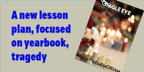 Looking for a ready-to-use lesson plan?